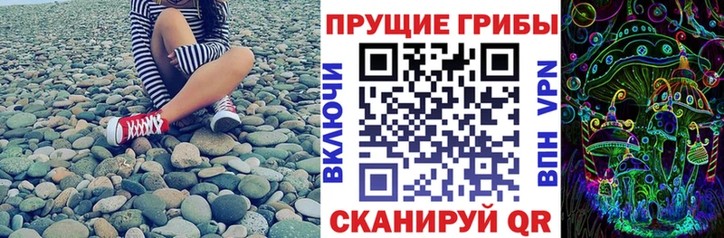 Псилоцибиновые грибы Cubensis  наркотики  это клад  Сим 
