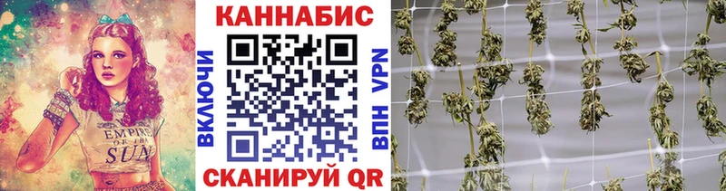 где найти   Сим  Бошки Шишки планчик 